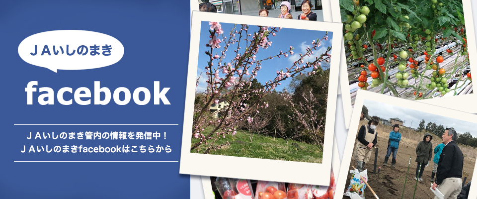 ＪＡいしのまき facebook