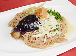 梅さっぱり冷やし麺