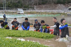 7-Aマキプロ産地見学ツアー