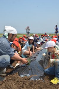 植え方を指導する髙橋部長㊧