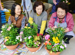 花植え