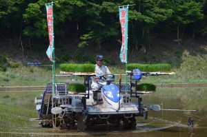 谷川地区で営農再開