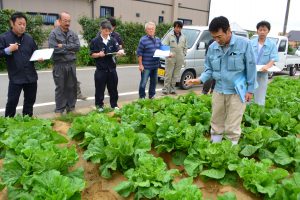 生育を確認する生産者