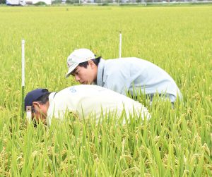 JA職員(左)の説明を真剣に聞く佐々木さん(右)