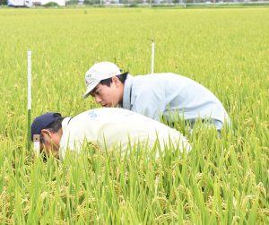 ＪＡ職員（左）の説明を真剣に聞く佐々木さん（右）