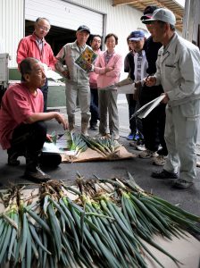 名月一文字を栽培する阿部組合長に質問する生産者