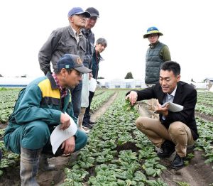 ホウレンソウを手に取り説明する吉田室長(右)と生産者ら 