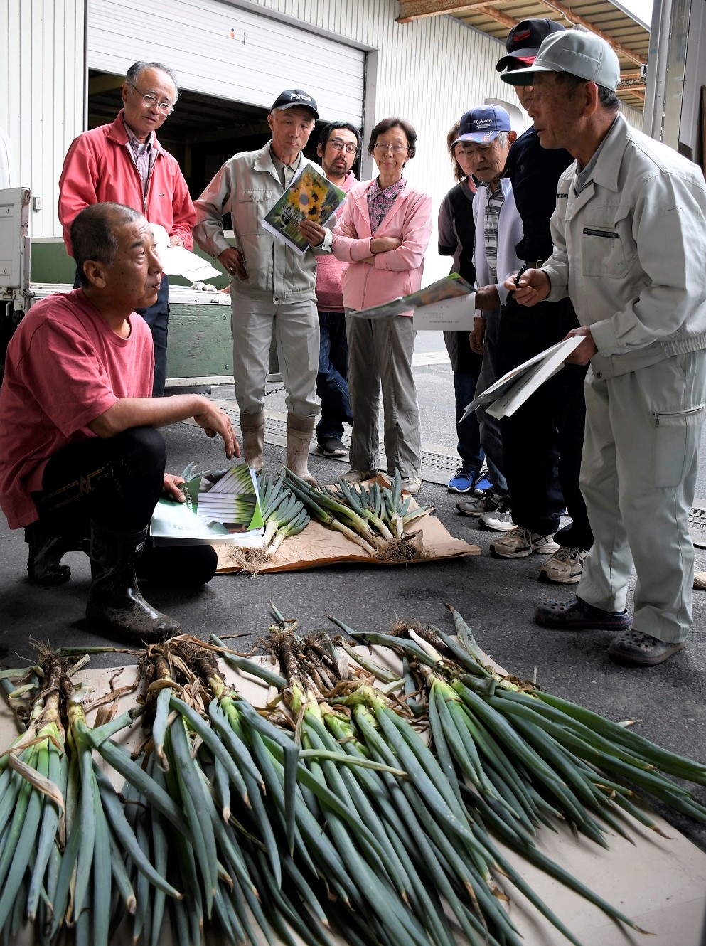 協力 新たな試みのため やもと長葱生産組合が講習会を開く ｊａいしのまき